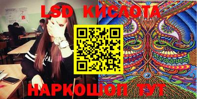 mdpv Гатчина