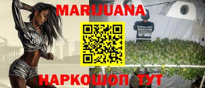 mdpv Гатчина