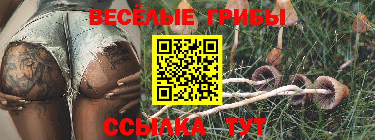 Гусев  Псилоцибиновые грибы GOLDEN TEACHER  Вход с VPN 