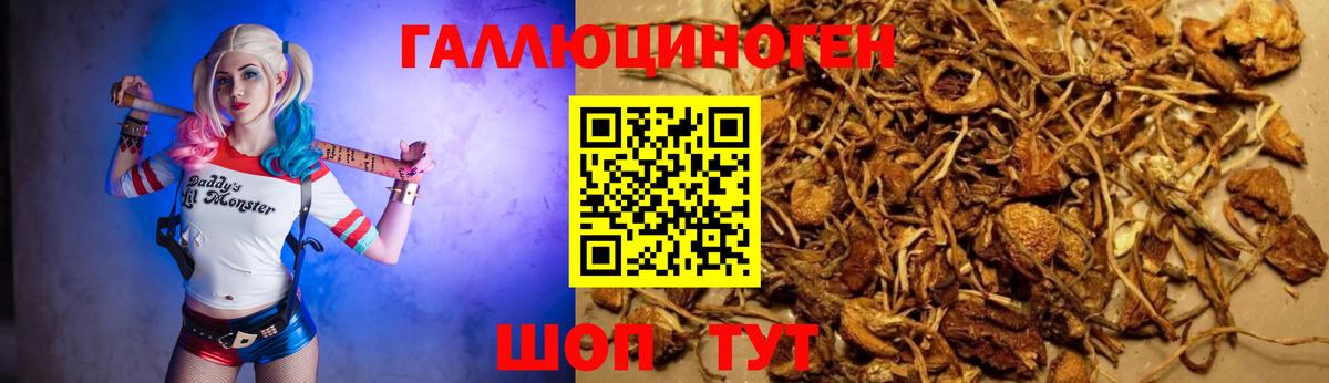A PVP Гусев